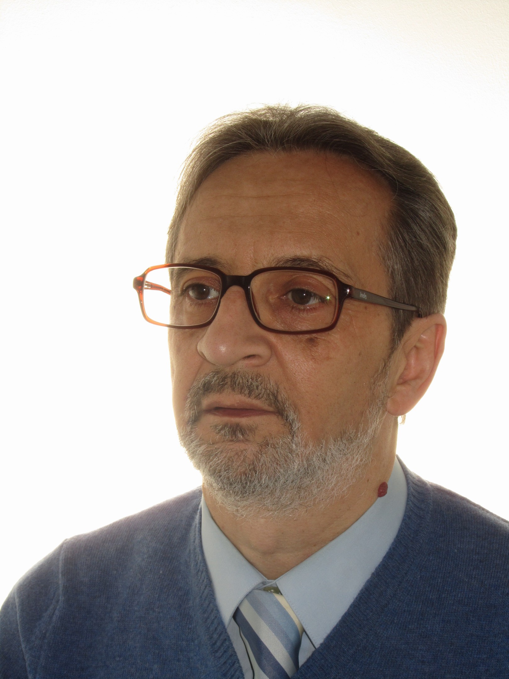 Luis de Torres Gómez