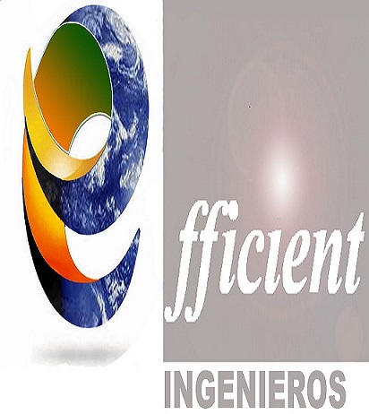 EFFICIENT CONSULTING