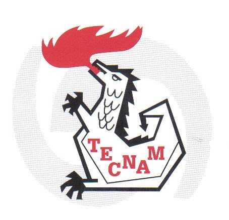 Tecnam.s.l.