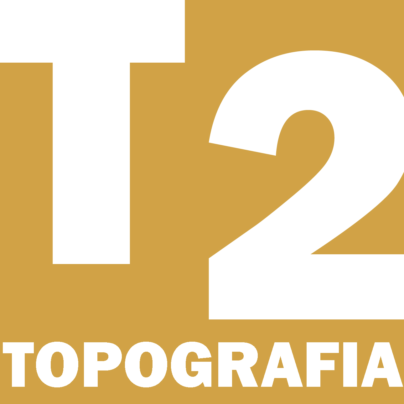 T2Topografia