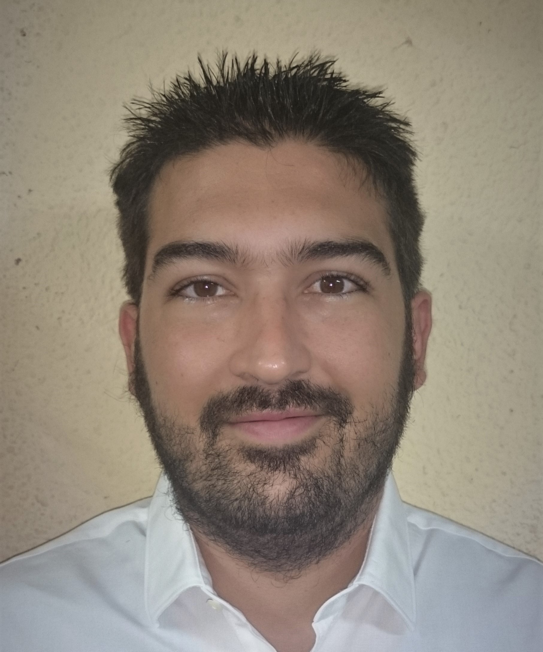 Enrique Mazón Ramón