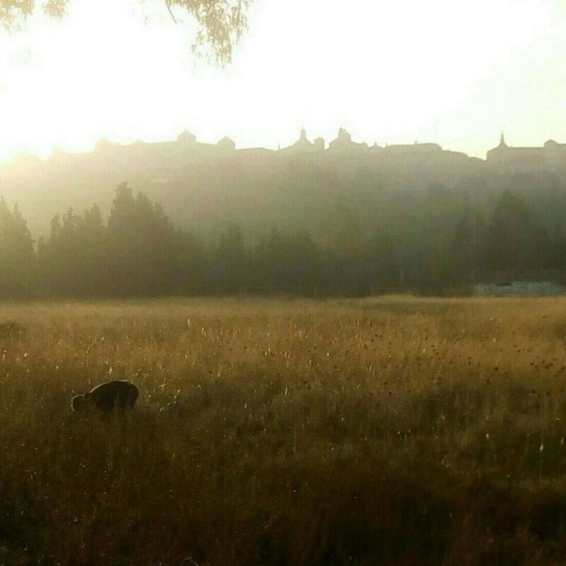 Alvarez Texidor arquitectos